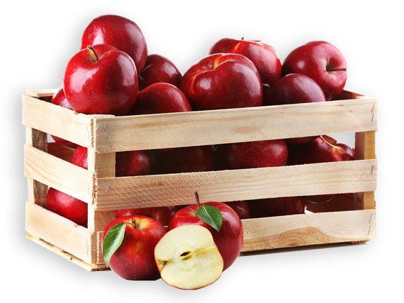 Apple Basket